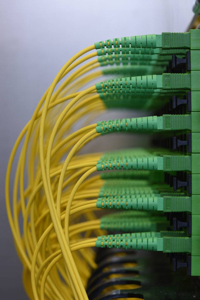 Panel de red de fibra óptica con Patchcords
 - Foto, Imagen