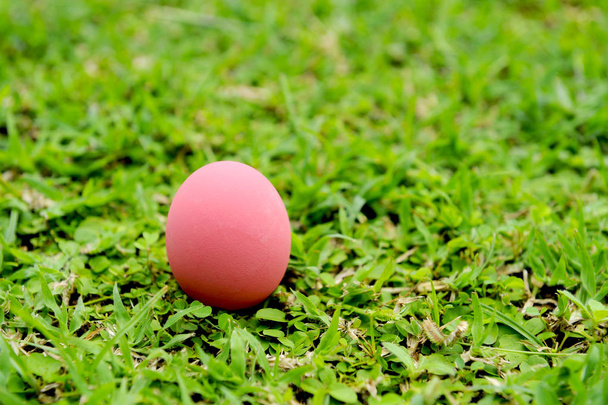 Red easter eggs - Foto, afbeelding