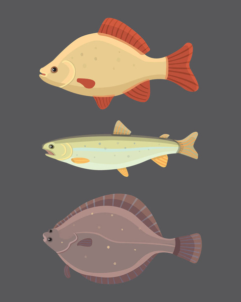 Elszigetelt édesvízi hal. Édesvízi tengeri rajzfilm halak csoportja. Állatvilág óceán vektoros illusztráció - Vektor, kép