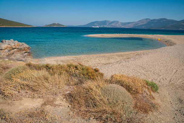 Golden beach on Evbia island in Greece - Photo, Image