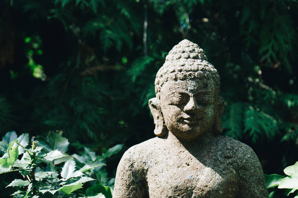 Bouddha sculpture sur la nature verte
 - Photo, image