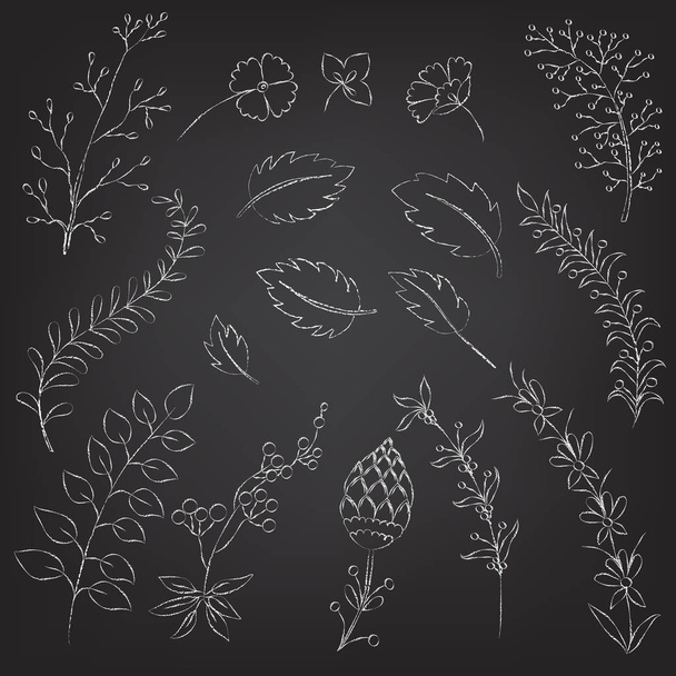 Set of hand-drawn floral elements on a blackboard. vector - Vector, Image