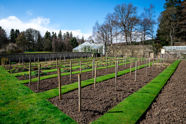 Garden beds and a greenhouse in Balmoral Castle gardens - Photo, Image