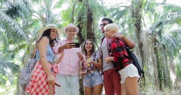 Gruppo di persone con zaini che parlano utilizzando telefoni cellulari intelligenti, uomini e donne guardare le foto sul trekking nella foresta tropicale di palme
 - Filmati, video