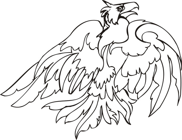 Águila vectorial
 - Vector, Imagen