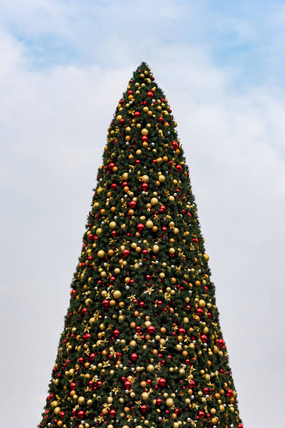 Christmas tree against sky with white clouds - Photo, image