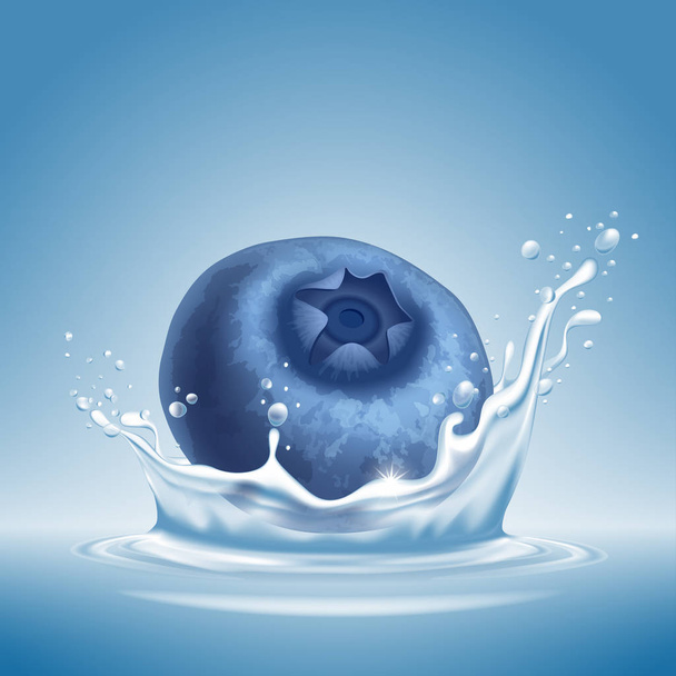 Blueberry in water splash - Vector, Image