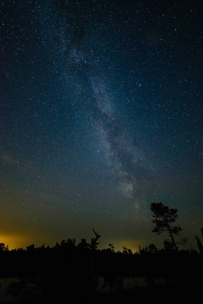 barevné galaxie Mléčné dráhy, které jsou vidět v noční obloze nad stromy - Fotografie, Obrázek