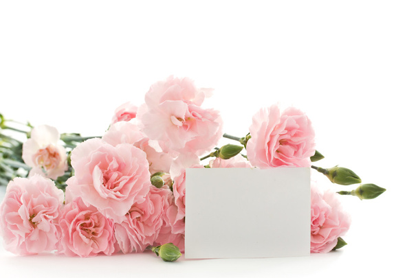 carnation flowers - Foto, Imagem