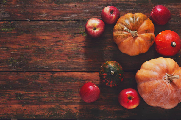 Fall pumpkins background with copy space - Φωτογραφία, εικόνα