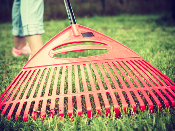 Woman using rake to clean up garden lawn - Foto, Imagem