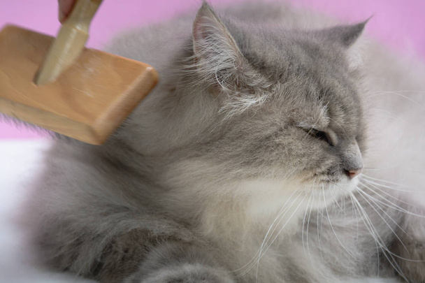 Borstel de kam van de vacht kat op een houten tafel - Foto, afbeelding