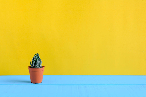 Cactus en el escritorio con wal amarillo
 - Foto, imagen