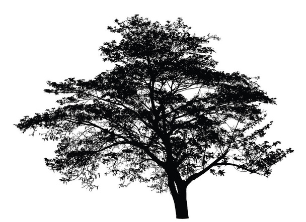 Μεγάλο δέντρο Σκιαγραφία: διάνυσμα - Διάνυσμα, εικόνα