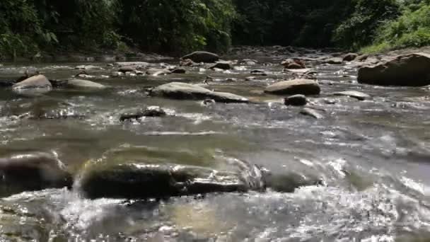 岩と森の中の川- 2を閉じる - 映像、動画
