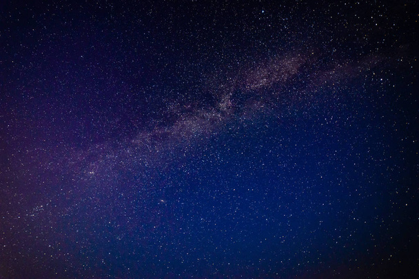 colorida galaxia de la Vía Láctea vista en el cielo nocturno sobre árboles
 - Foto, imagen