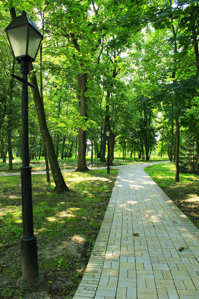 Hermoso parque con muchos árboles verdes y camino
 - Foto, imagen