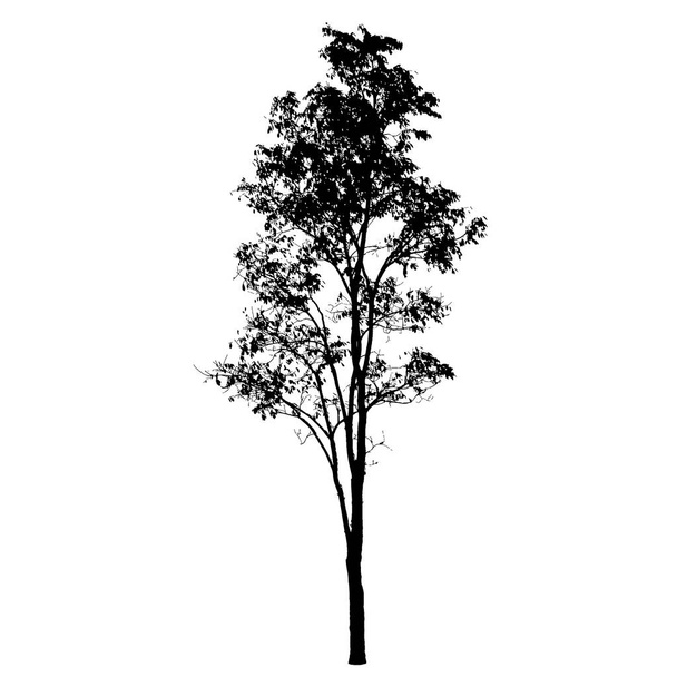 白い背景の木のシルエット  - ベクター画像