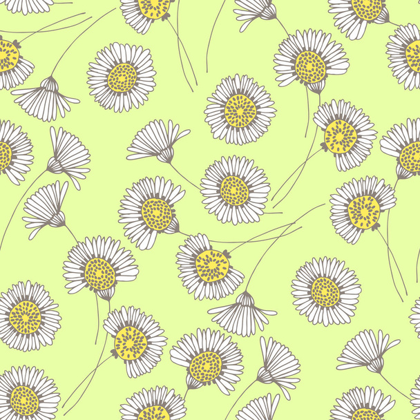 pattern with blossoming chamomile flowers - Vector, afbeelding