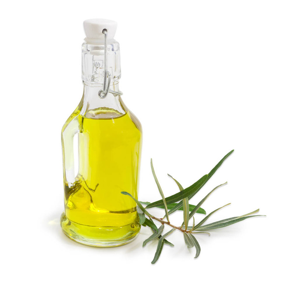 Botella de aceite de oliva y rama de olivo
 - Foto, Imagen