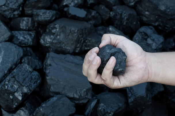 Charbon mine main tenant partie de pierre de charbon ensoleillé
 - Photo, image