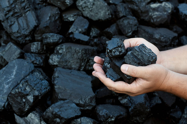 Coal mining hands holding sunlit coal stone part - Photo, Image