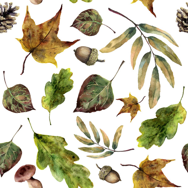 Watercolor seamless pattern with fall leaves. Hand painted green and yellow autumn leaves, mushrooms, pine cone, acorn isolated on white background. - Photo, Image