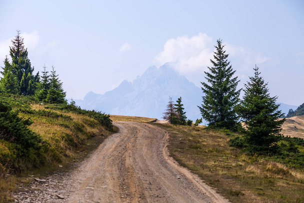 Rural road in mountains - Fotoğraf, Görsel