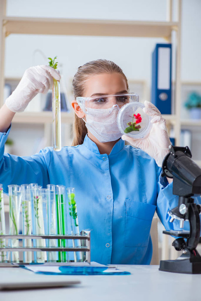 Kobieta naukowiec prowadzący eksperyment w labora - Zdjęcie, obraz