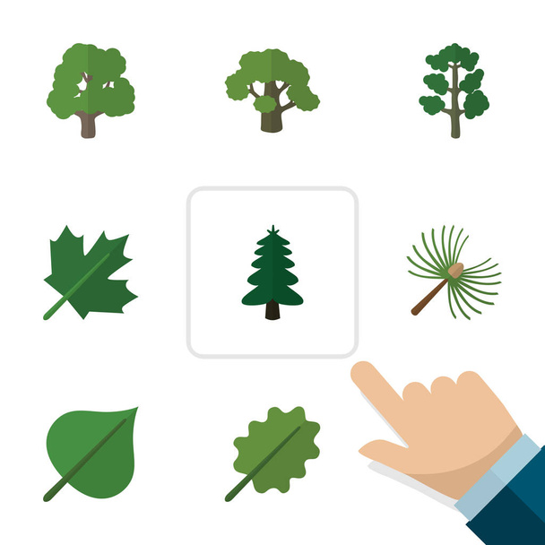 Flat Icon Ecology Set Of Rosemary, Forest, Oaken And Other Vector Objects. Also Includes Oak, Tree, Wood Elements. - Wektor, obraz
