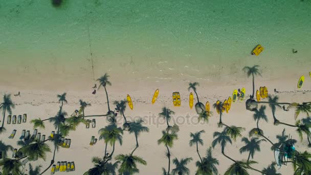 楽園熱帯の島ビーチ プンタ カナ ドミニカ共和国。ウォーター スポーツ レジャーや楽しみ、空中ビデオ - 映像、動画