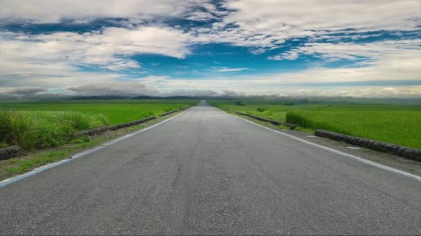 natural summer landscape with asphalt road to horizon and the beautiful view - Footage, Video