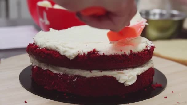 Pastry chef hand spread whipped cream on short fruit cake bisquit - Video, Çekim