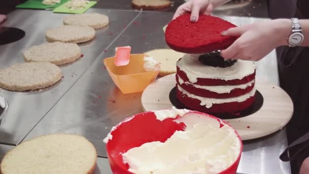 Женщина-кондитер строит красный бисквит со взбитыми сливками
 - Кадры, видео