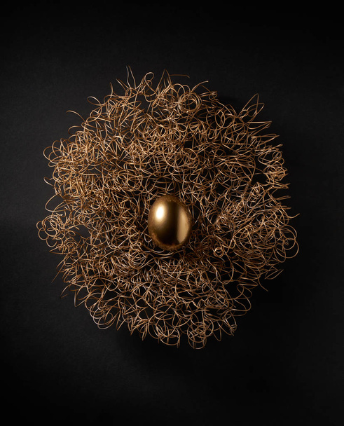 golden egg in a golden nest - Fotografie, Obrázek