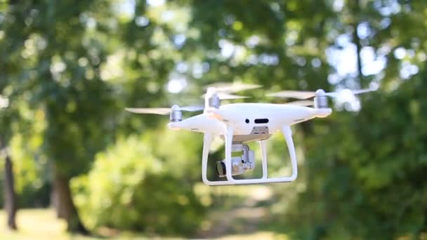drone repül át az erdő - Felvétel, videó
