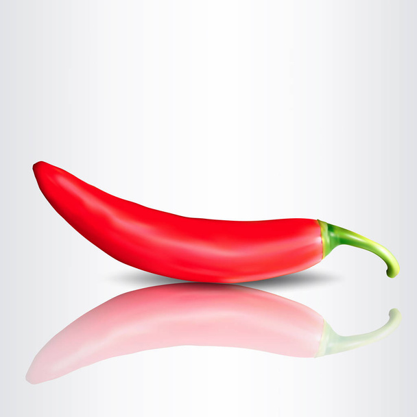 Realistic chilli. vector illustration - Vector, Image