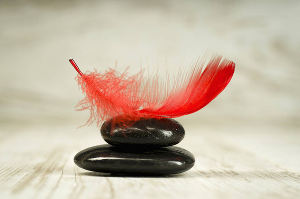 Red feather on black stones - Foto, Imagem