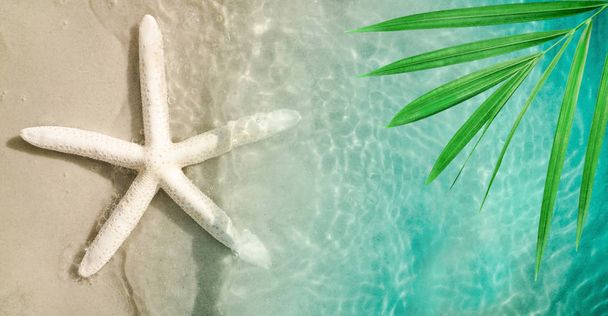 морская звезда на летнем пляже с песком
 - Фото, изображение