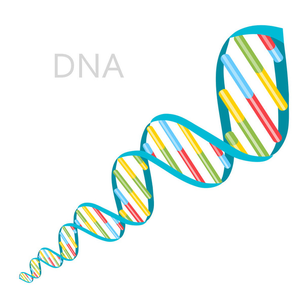 DNA Strands Icon - Vector, Image