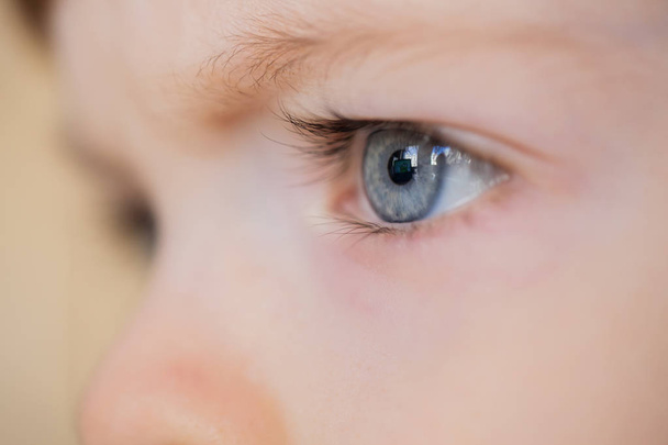Closeup of eyes of a blue-eyed child with long eyelashes - Foto, Imagem
