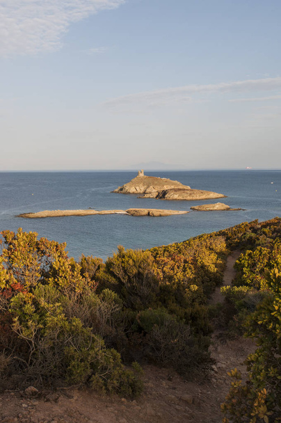 Korzika: Mediterrán bozótos, tengerparti utat a Cap Corse-kilátással a természet tartalék Les Iles Finocchiarola, a három kis sziget neve A Terra, Mezzana és Finocchiarola - Fotó, kép
