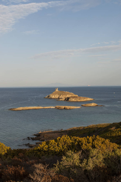 Corsica: macchia mediterranea su un sentiero costiero sul Capo Corso con vista sulla riserva naturale di les Iles Finocchiarola, le tre isolette denominate A Terra, Mezzana e Finocchiarola
 - Foto, immagini