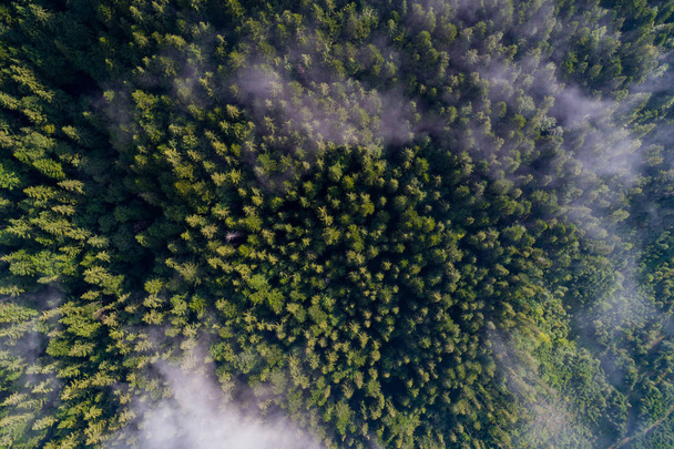 Aerial view of Carpathian mountains. Ukraine, Europe. Concept ecology protection. Top view - Fotografie, Obrázek
