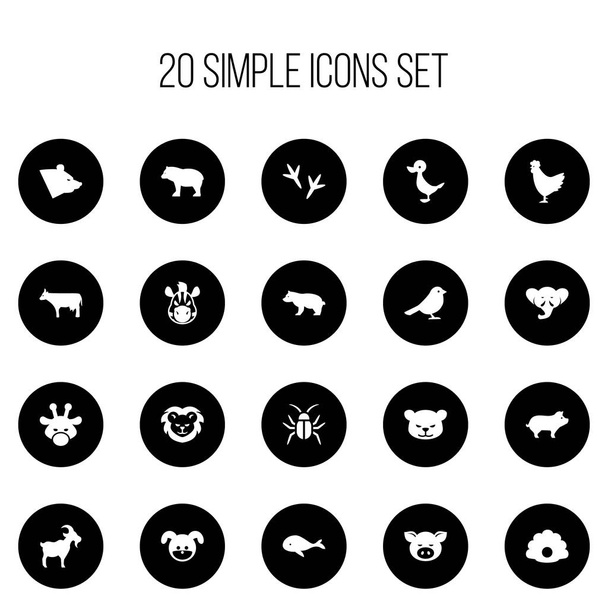 Set Of 20 Editable Animal Icons. Includes Symbols Such As Proboscis, Panda, Pig. Can Be Used For Web, Mobile, UI And Infographic Design. - Vector, Image