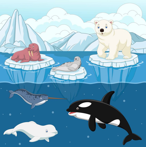 Дикое арктическое животное на северном полюсе
 - Вектор,изображение