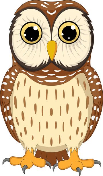 Cartoon owl isolated on white background - Vector, Imagen