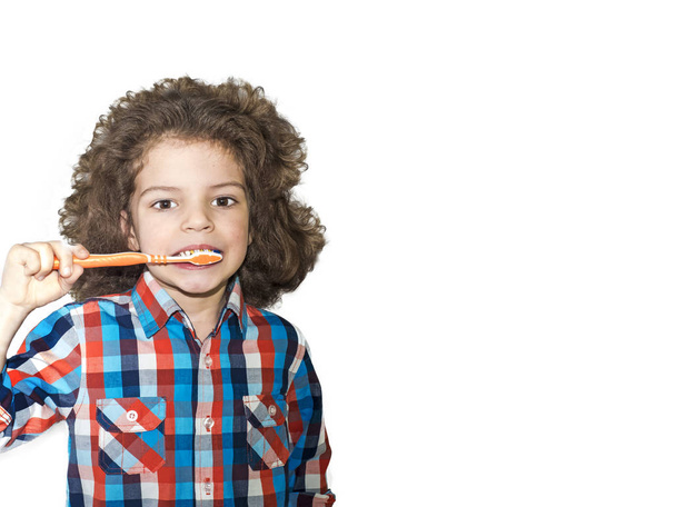 A small curly-haired boy brushes his teeth with a toothbrush. White background. - Фото, изображение