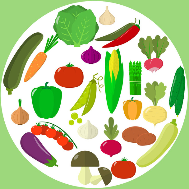 Set of vegetables. Organic vegetarian healthy food isolated on white background. Vector. - Vektör, Görsel