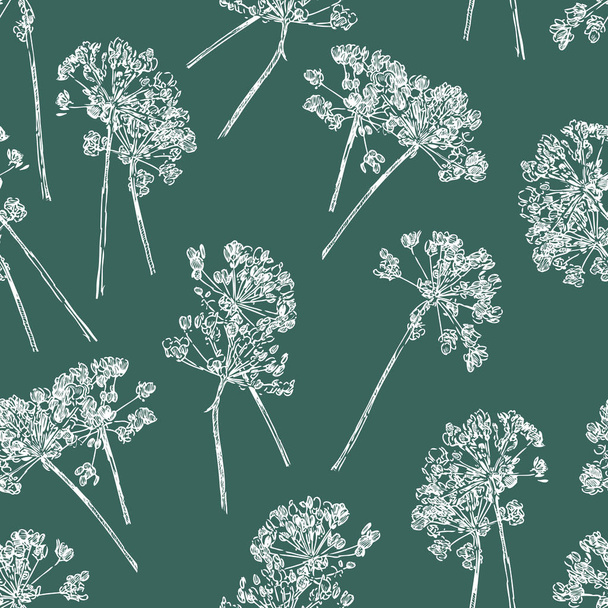 μοτίβο από την ταξιανθία ομπρέλα φυτών - Διάνυσμα, εικόνα